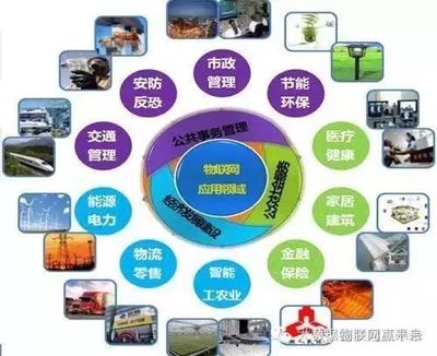 物聯(lián)網(wǎng) 國家戰(zhàn)略驅(qū)動下的技術(shù)革命與產(chǎn)業(yè)未來